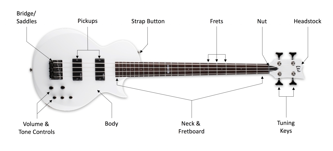 Know Your Guitar Diagram Bass 1100x500